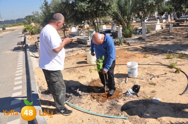 ashjar taso 0328 (16).JPG